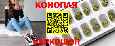 шишки Тулун