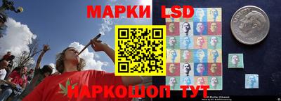 шишки Тулун