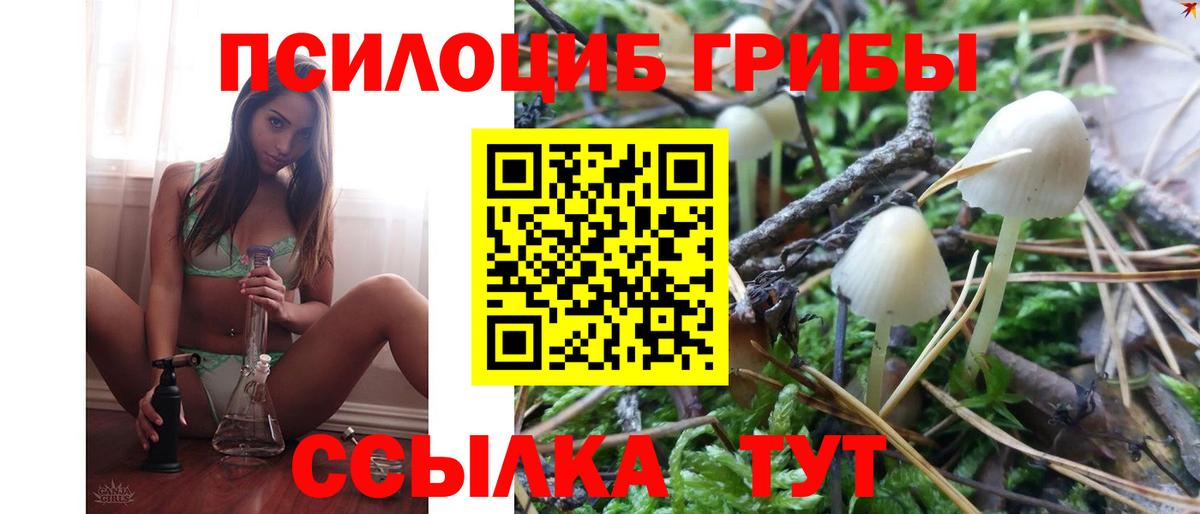 Псилоцибиновые грибы Psilocybine cubensis  магазин продажи   Богородицк  Вход с VPN 